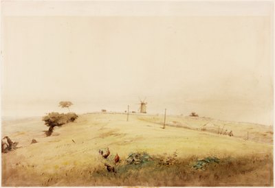One of the Aggers of the Vallum, at the Top of the Westgate Road, Newcastle, as it Appeared in 1848 by Henry Burdon Richardson